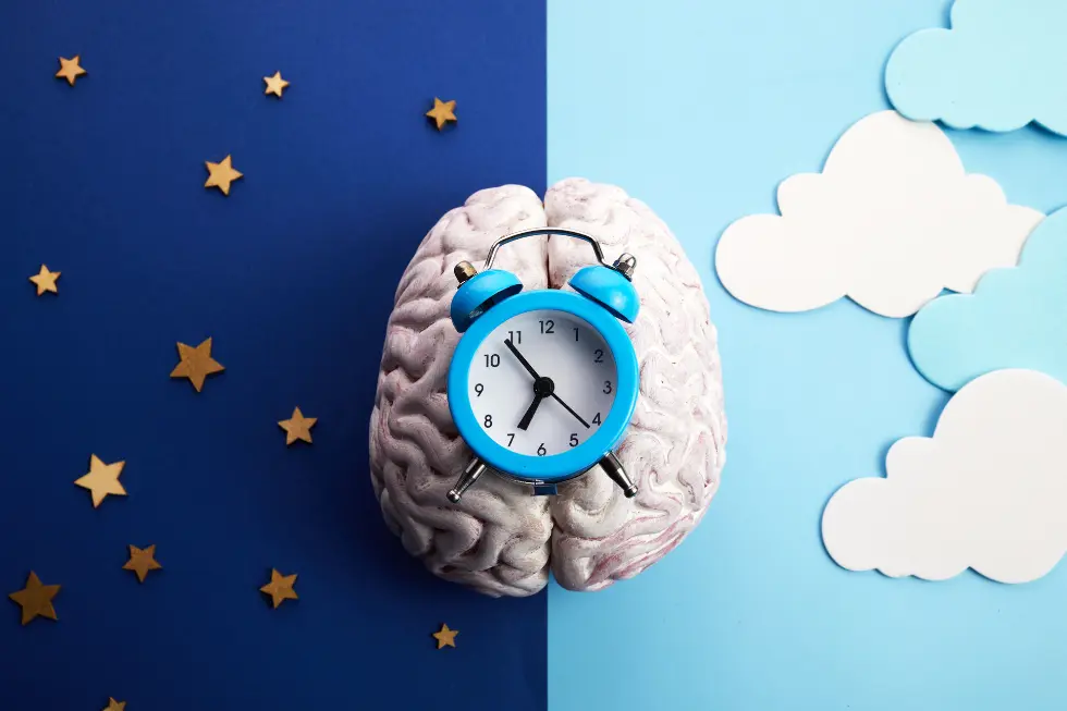 Apneea obstructiva in somn si functia cerebrala mecanisme simptome si interventii utile