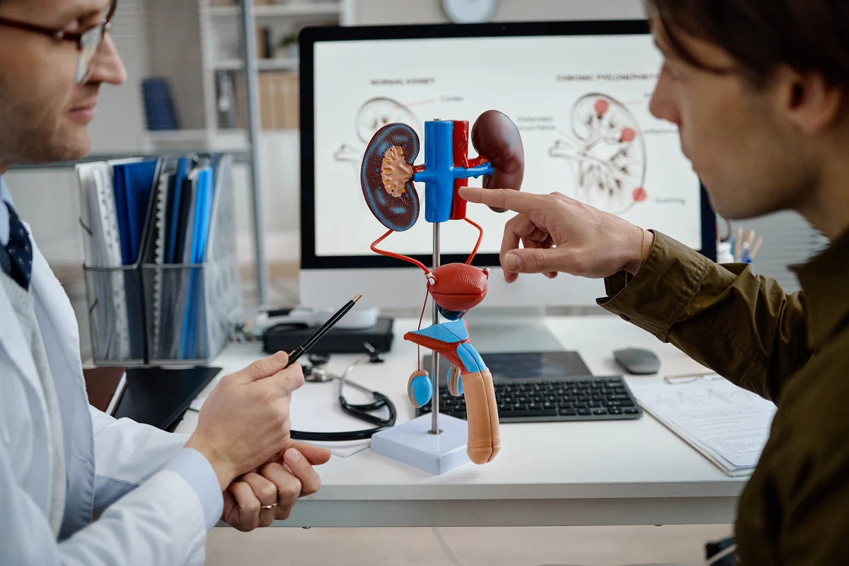 sindromul cardiovascular&ndash;renal&ndash;metabolic (CKM)