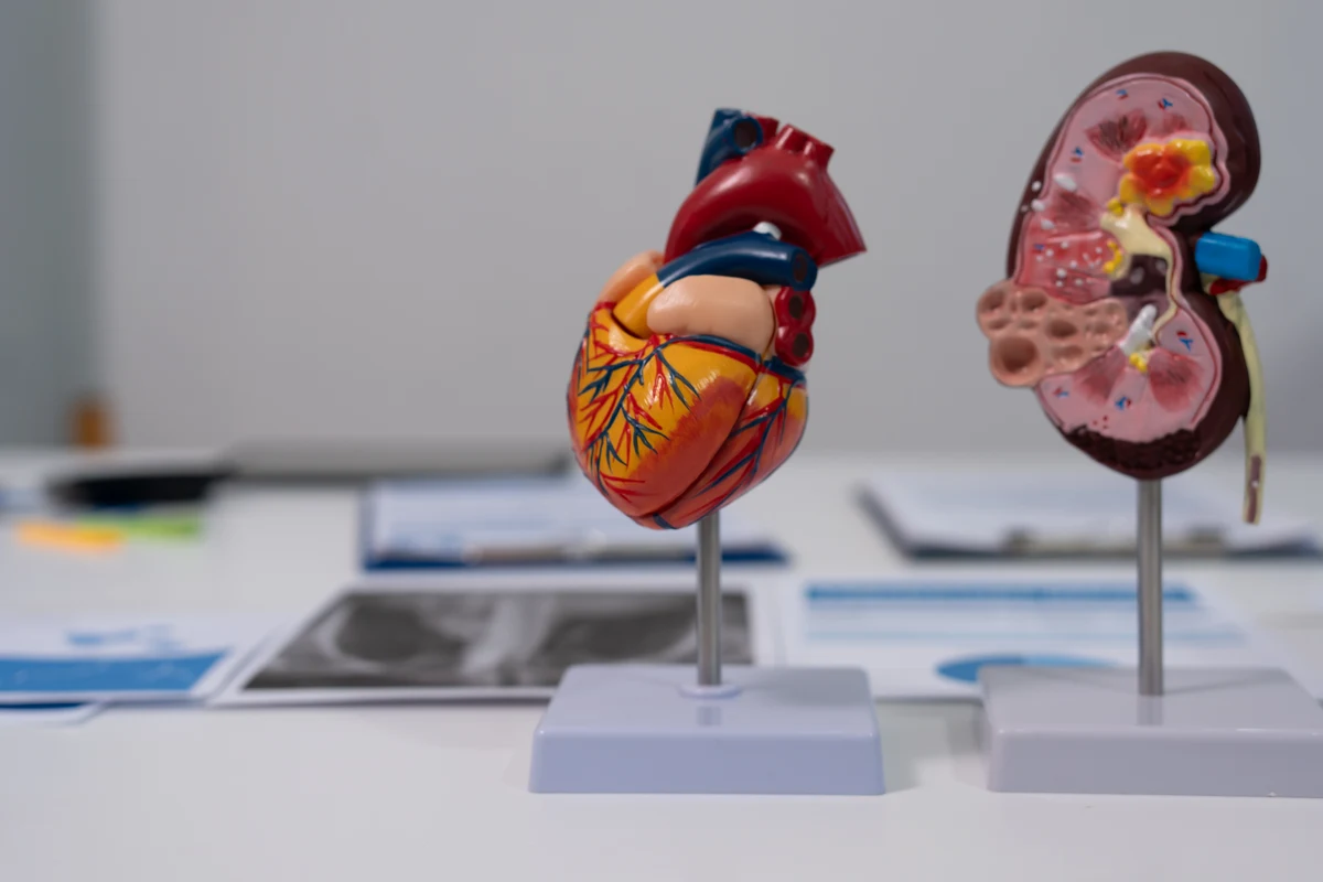 Sindromul cardiovascular renal metabolic CKM